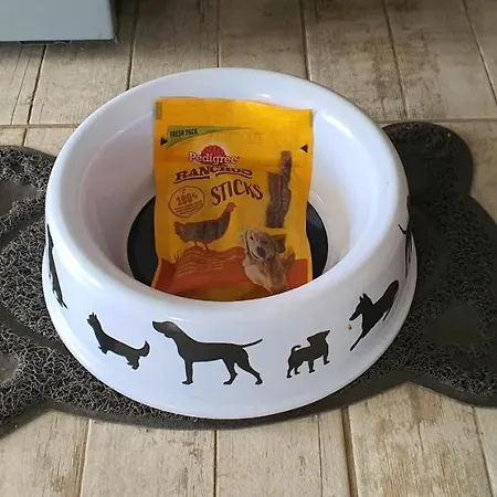 Wolnostojacy Dom Na Duzym Prywatnym Terenie -pet Friendly-